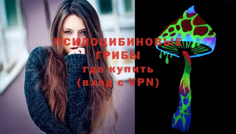 купить закладку  Канск  Псилоцибиновые грибы Psilocybine cubensis 